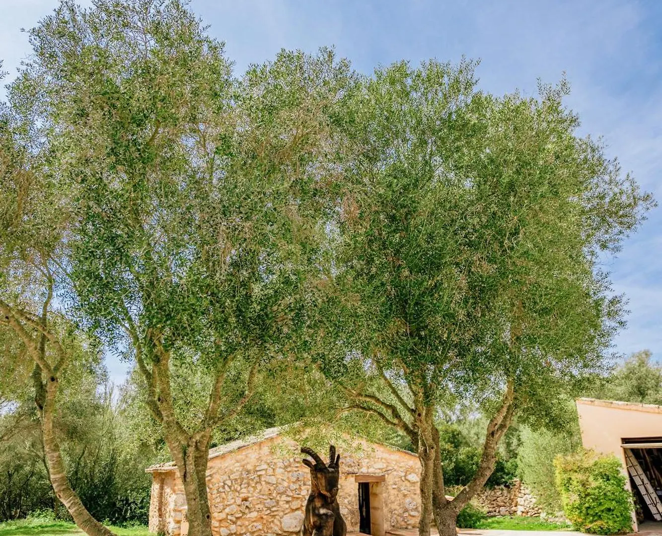 Finca Son Mut Llucmajor  España